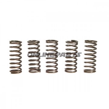 Clutch Spring Kit (5)Ebc
