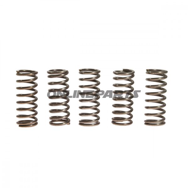 Clutch Spring Kit (5)Ebc