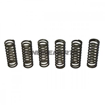 Clutch Spring Kit (6)Ebc