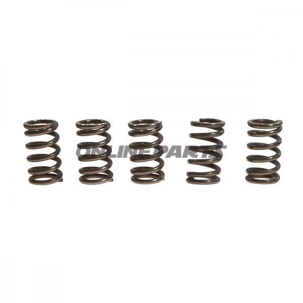 Clutch Spring Kit (5)Ebc