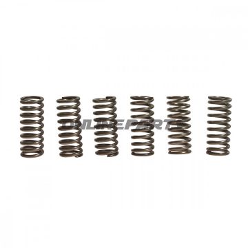 Clutch Spring Kit (6)Ebc