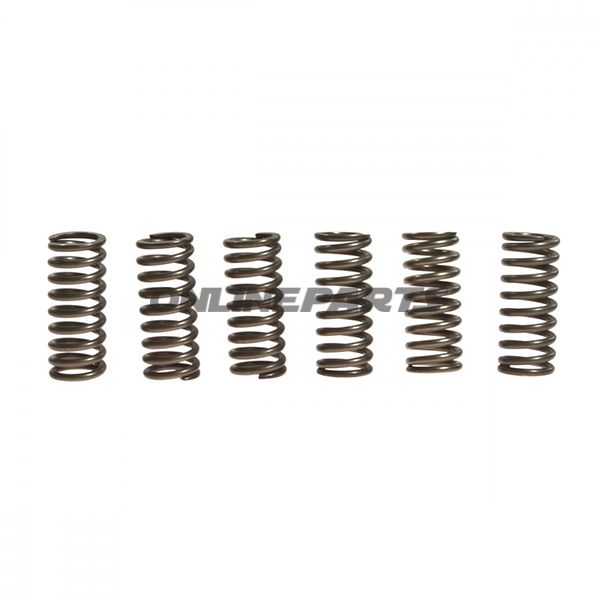 Clutch Spring Kit (6)Ebc