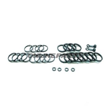 Brake Caliper Seal Kitcaliper Service/Repair