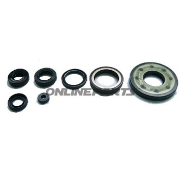 Engine Oil Seal Kit