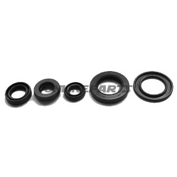 Engine Oil Seal Kit