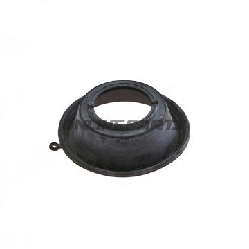 Diaphragm.