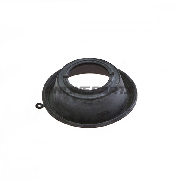 Diaphragm.