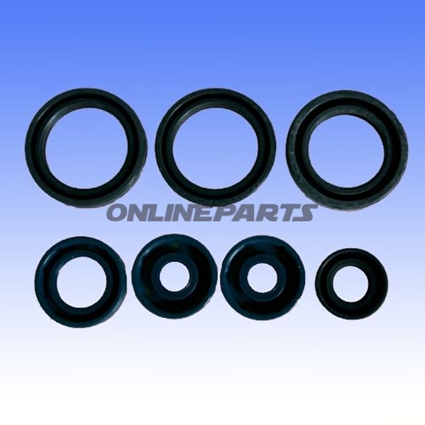 Engine Oil Seal Kit