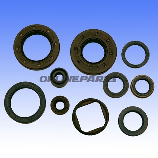 Engine Oil Seal Kit