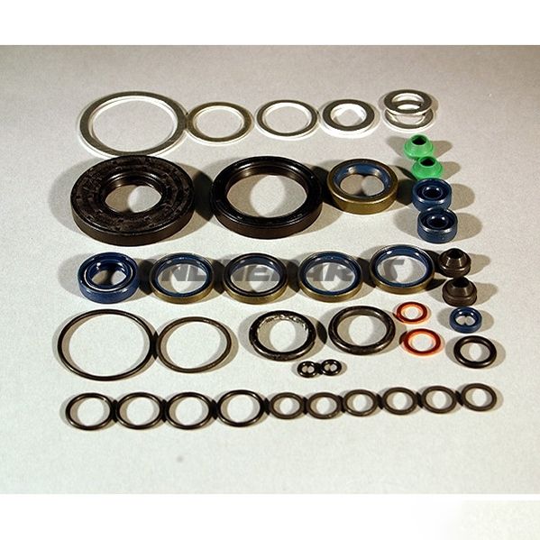 Engine Oil Seal Kit