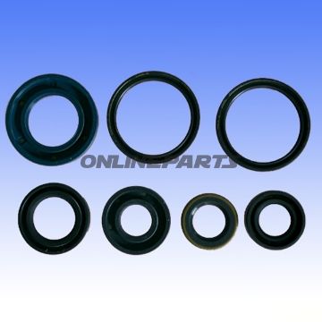 Engine Oil Seal Kit