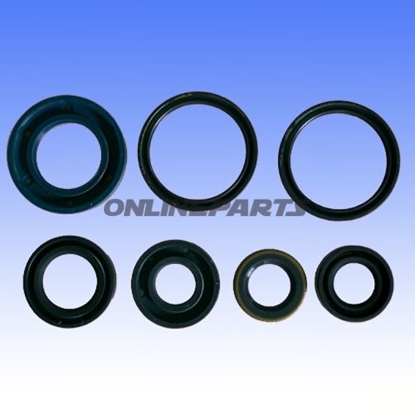 Engine Oil Seal Kit