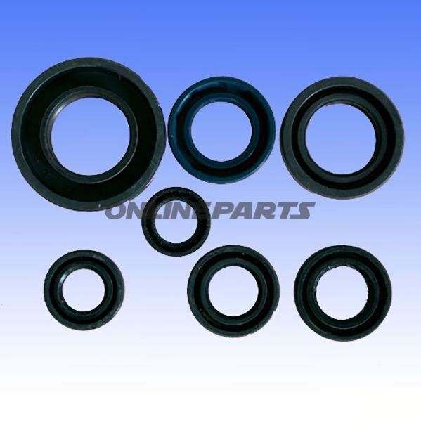 Engine Oil Seal Kit
