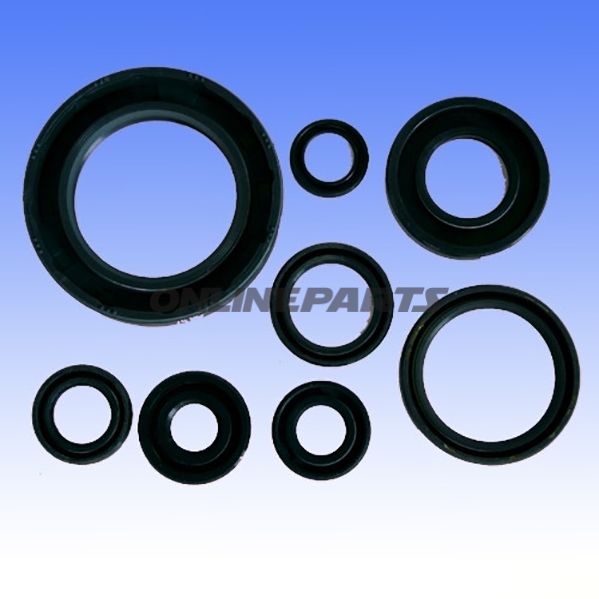 Engine Oil Seal Kit