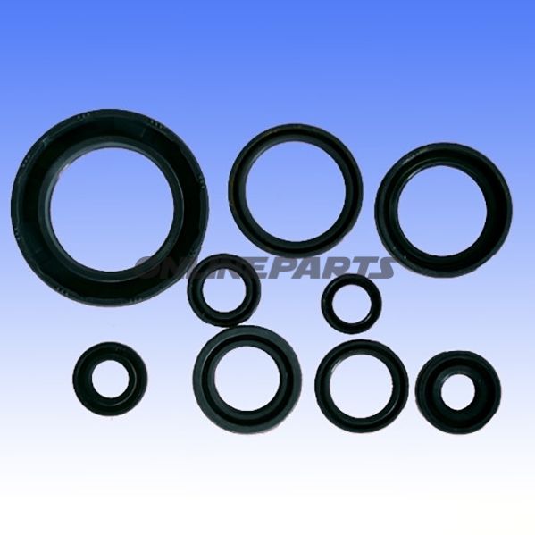 Engine Oil Seal Kit