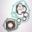 Complete Gasket / Seal Kitathena