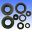 Shaft Seal Set Athena