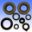 Engine Oil Seal Kit