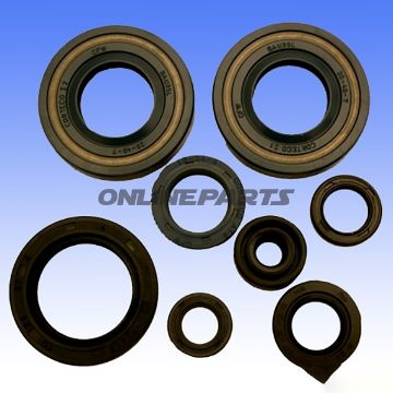 Engine Oil Seal Kit
