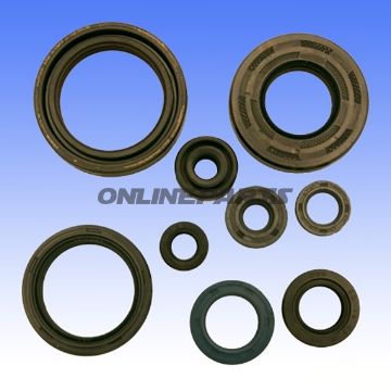 Engine Oil Seal Kit
