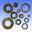Engine Oil Seal Kit