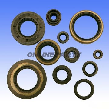 Engine Oil Seal Kit