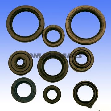Engine Oil Seal Kit