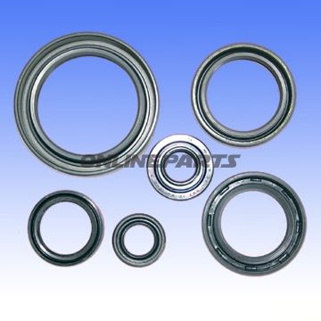 Engine Oil Seal Kit