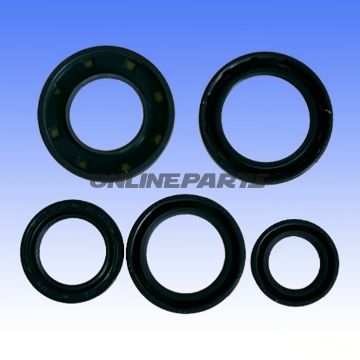 Engine Oil Seal Kit