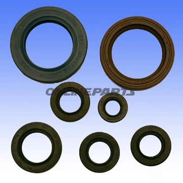 Engine Oil Seal Kit
