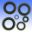 Engine Oil Seal Kit