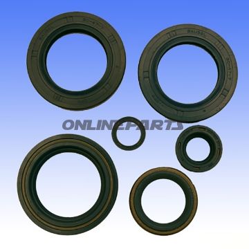 Engine Oil Seal Kit