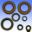 Engine Oil Seal Kit
