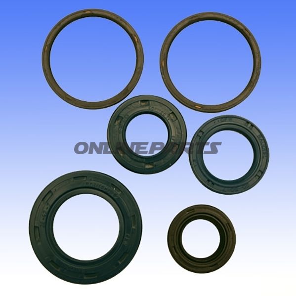 Engine Oil Seal Kit