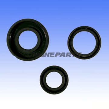 Engine Oil Seal Kitalternative: 7359474