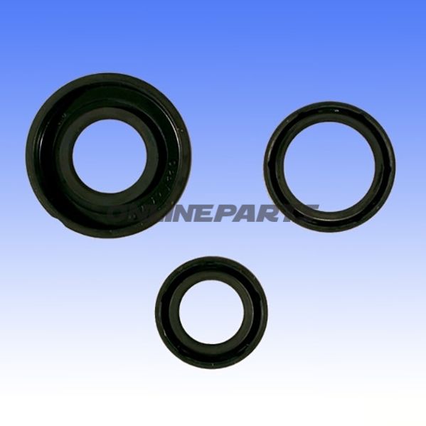 Engine Oil Seal Kitalternative: 7359474