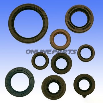Engine Oil Seal Kit