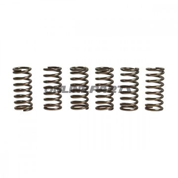 Clutch Spring Kit (6)Ebc