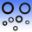 Engine Oil Seal Kit