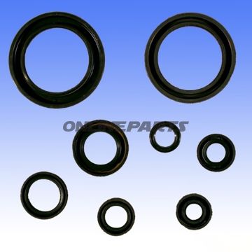 Engine Oil Seal Kit