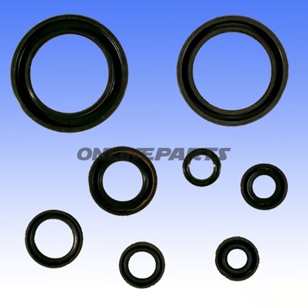 Engine Oil Seal Kit
