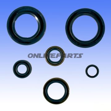 Engine Oil Seal Kit