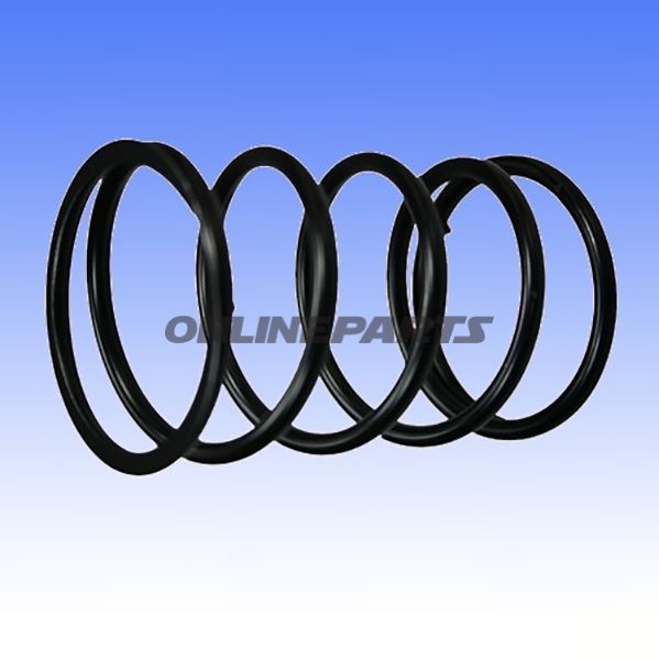 Variator Springblack 30Kg