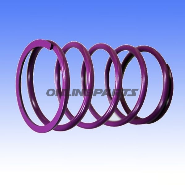 Variator Springviolet 35Kg
