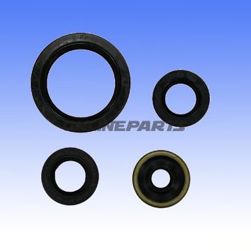 Engine Oil Seal Kit