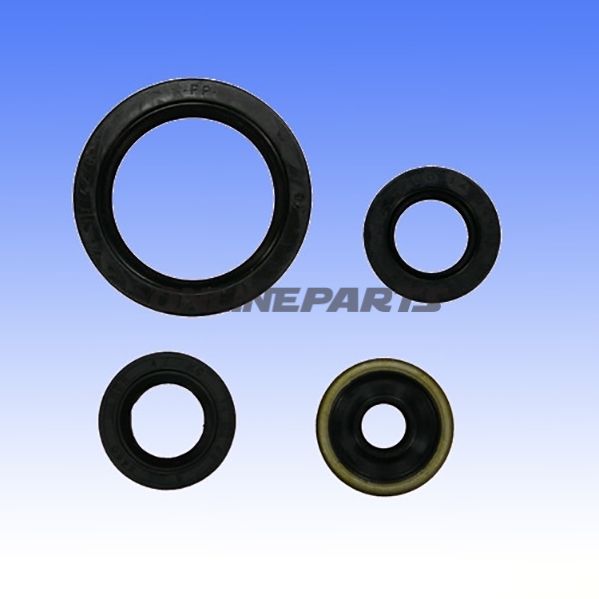 Engine Oil Seal Kit