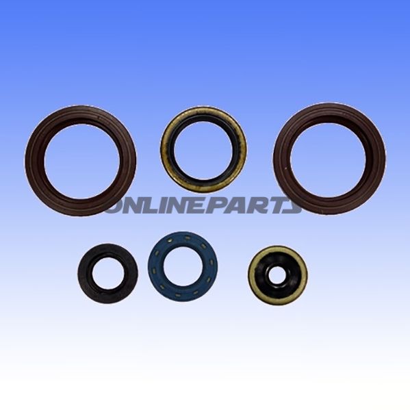 Engine Oil Seal Kit