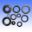 Engine Oil Seal Kit
