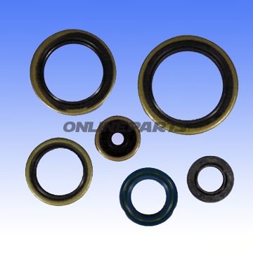 Engine Oil Seal Kit