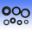Engine Oil Seal Kit